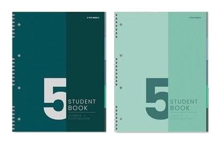 Kołozeszyt B5/100K kratka (5szt) TOP2000