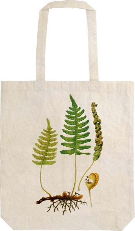 Torba bawełniana STBAG10 Paproć Shopperka na ramię
