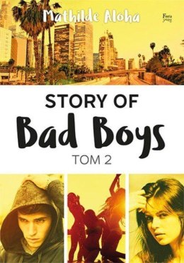 Story of Bad Boys T.2