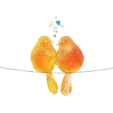 Karnet Swarovski kwadrat CL2602 Ptaszki pomarańcz