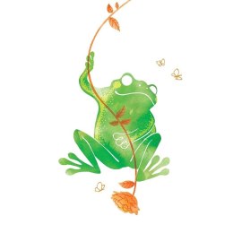 Karnet Swarovski kwadrat CL2606 Żaba