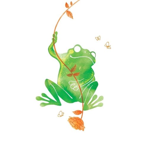 Karnet Swarovski kwadrat CL2606 Żaba