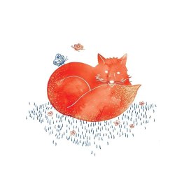 Karnet Swarovski kwadrat CL2608 Lis