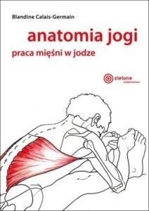 Anatomia jogi