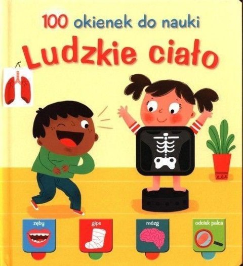 100 okienek do nauki. Ludzkie ciało