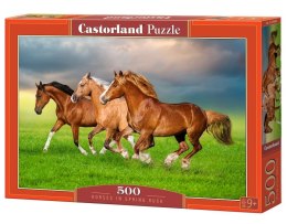 Puzzle 500 Horses in Spring Rush CASTOR