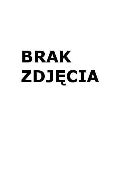 Zabawka drewniana Samochód Lodziarnia TREFL