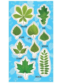 Naklejki Wiosenne liście