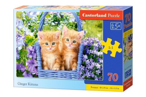 Puzzle 70 Rude kotki CASTOR