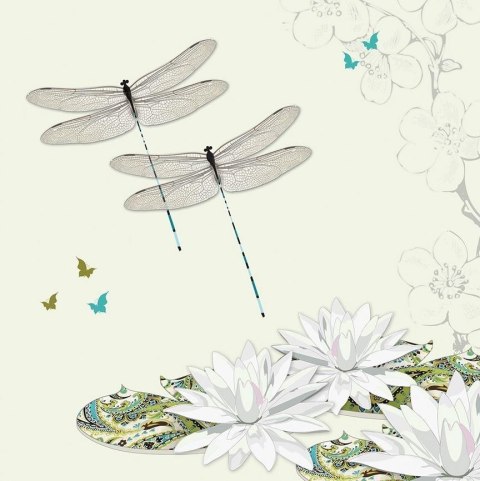 Karnet Swarovski kwadrat CL0503 Ważki