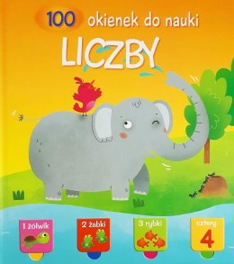 100 okienek do nauki. Liczby