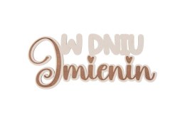 Drewniany napis - W dniu imienin 5szt biały