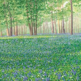 Karnet z kopertą Las dzwonków II