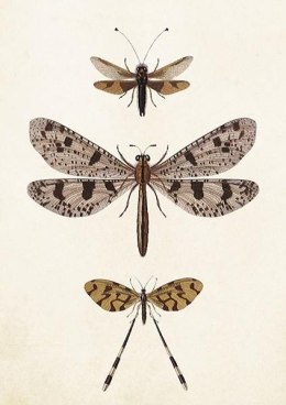 Karnet ST407 B6 + koperta Ważki