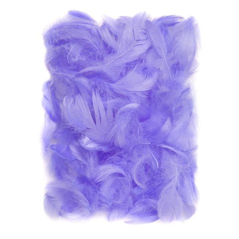 Piórka lilac 5-12cm 10g