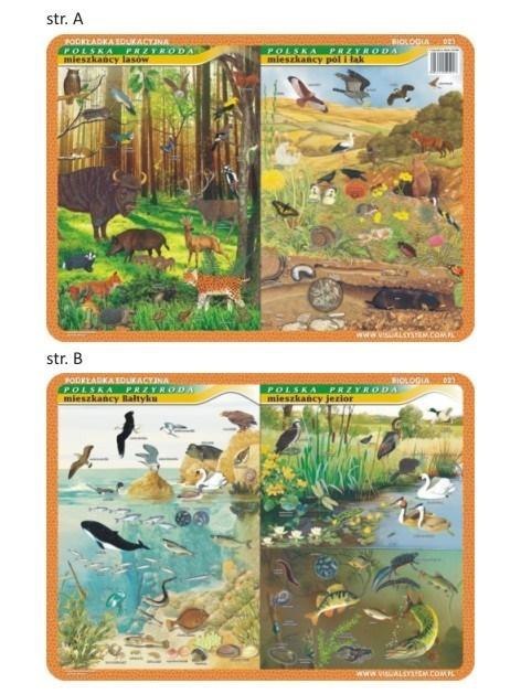 Podkładka edu. 021 - Mieszkańcy Bałtyku, jezior...