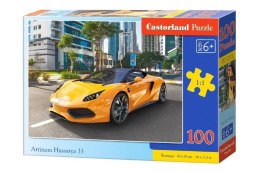 Puzzle 100 Arrinera Hussarya 33 CASTOR