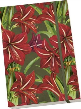 Notatnik ozdobny A5 STNOTE 131 Gwiazda Betlejems