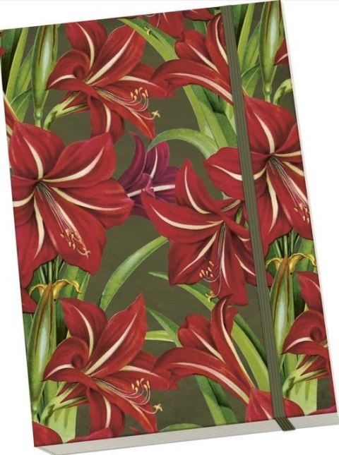 Notatnik ozdobny A5 STNOTE 131 Gwiazda Betlejems