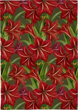 Ręcznik kuchenny - Gwiazda betlejemska Święta BN