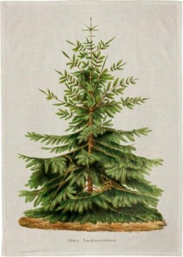 Ręcznik kuchenny - Jodła Święta BN