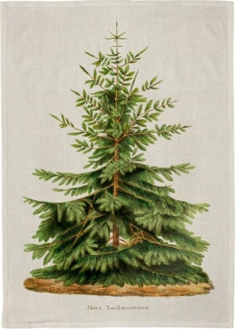 Ręcznik kuchenny - Jodła Święta BN