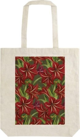 Torba bawełniana STBAG 66 Gwiazda Betlejemska BN