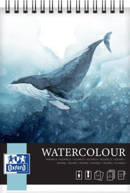 Blok artystyczny akwarela A4/10K 300g spirala