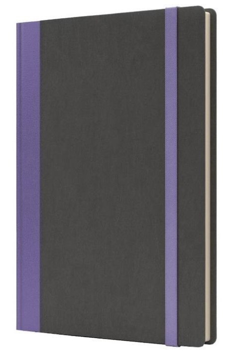 Notatnik A5 Pro M+ kratka szary/fioletowy