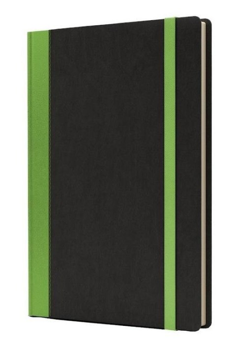 Notatnik B5 Pro L linia czarny/jasnozielony