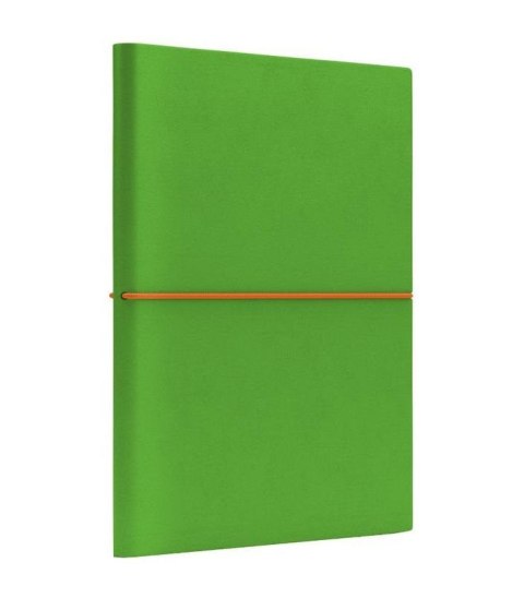 Notatnik B6 Fun S linia jasnozielony/pomarańczowy