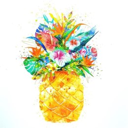 Karnet KW HS Ananas