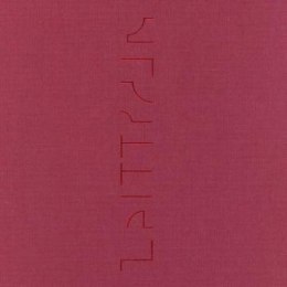 Katja Strunz Zeittraum#9 fur Władysław Strzemiński