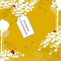 Karnet Swarovski kwadrat CL3401 Szczęścia i powodz