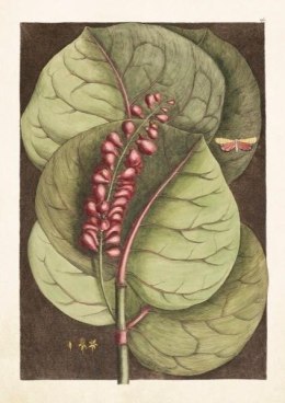 Karnet ST297 B6 + koperta Liść z czerwonymi kwiata