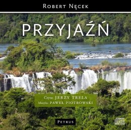 Przyjaźń - audiobook