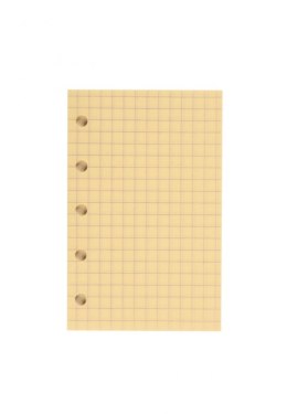 Wkład do organizera M Kratka żółta ANTRA