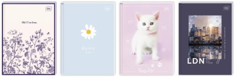 Brulion A6/96K kratka (10szt)