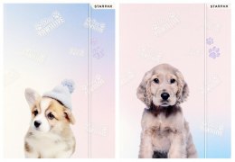 Teczka z gumką A4 pieski