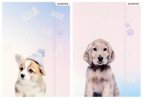 Teczka z gumką A4 pieski