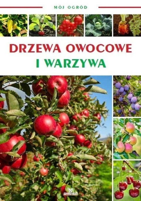 Mój ogród. Drzewa owocowe i warzywa w ogrodzie