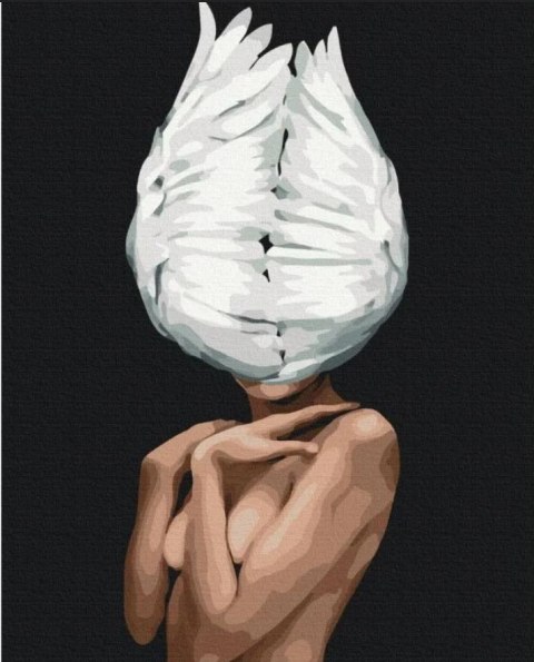 Malowanie po numerach - Pióra w głowie 40x50cm