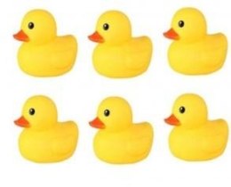 Kaczka do kąpieli 6-pack
