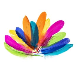 Piórka gęsie neonowe 15-20cm