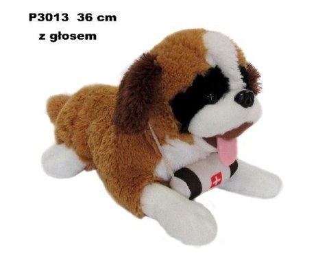 Bernardyn z głosem 36cm