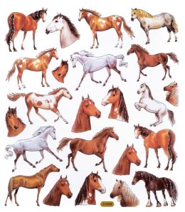 Naklejki konie 23szt