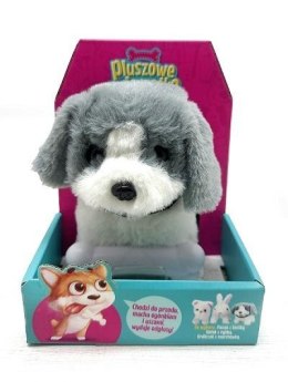 Piesek chodzący z kością