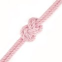 LINA DO KRĘPOWANIA REBELLION ROSE SILKY BONDAGE ROPE 24-0546