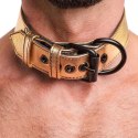 OBROŻA BONDAGE FETISH METALLIC PUP COLLAR WITH LEASH 24-0550