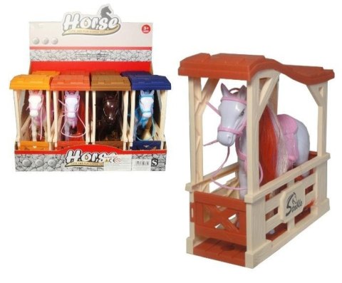 Konik w zagrodzie mix